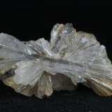 Yeso
7.5  x 4 cm
(Autor: Ángel Rodríguez Benavent)