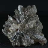 Yeso
5 x 4 cm
(Autor: Ángel Rodríguez Benavent)