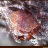 Roedderita
FoV: 2,1 x 1,4 mm
(Autor: Jose Angel Carrero)
