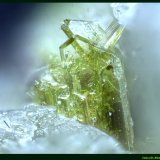 Fluoro-richterita
FoV: 2,5 x 1,8 mm
(Autor: Jose Angel Carrero)