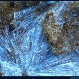 Fluorwavellita
Na Zoubku, Křeč, Pelhřimov, Región Vysočina, Bohemia, República Checa
FoV: 3 x 2 mm
(Autor: Jose Angel Carrero)