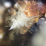 Montgomeryita
CV 3x4 mm
(Autor: Joan Niella)