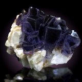 Fluorita sobre Calcita
17.5 x 14.5cm, cristales hasta 35mm de arista
(Autor: Raul Vancouver)