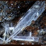 Laurionita - Paralaurionita
FoV: 2 x 1,4 mm
(Autor: Jose Angel Carrero)