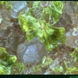 Tyuyamunita
Salnova Quarry, Saltrio, Varese Province, Lombardy, Italy
FoV: 2,5 x 1,8 mm
(Autor: Jose Angel Carrero)