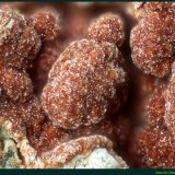 Wallkilldellita-(Fe)
Golosina Mine, Cala del Mal Paso, Cuevas del Almanzora, Comarca Levante Almeriense, Almería, Andalusia, Spain
FoV: 2,5 x 1,8 mm
(Autor: Jose Angel Carrero)