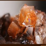Calcita
Cantera Schmitt, Altenmittlau, Freigericht, Distrito Main-Kinzig-Kreis, Spessart, Hesse/Hessen, Alemania
FoV: 3 x 2 mm
(Autor: Jose Angel Carrero)