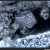 Fosgenita
Minas Lavrion, Distrito minero Lavrion, Prefectura Attikí (Attica), Grecia
FoV: 2,2 x 1,5 mm
(Autor: Jose Angel Carrero)