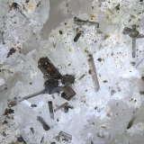 Turmalina
Campo de visión de  2 mm.
(Autor: Antonio Carmona)
