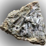 Actinolita
Micro. < 1 mm
(Autor: José Luis Zamora)