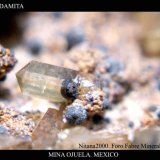 (Autor: Juan de Laureano)