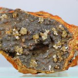 Adamita
35x22 mm
(Autor: Juan Espino)