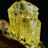 Adamita
4 mm
(Autor: Borja Sainz de Baranda)