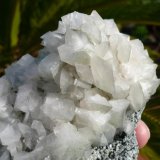 Ortoclasa (variedad adularia)
(Autor: nerofis2)