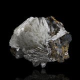 Alamosita con Melanotekita y Plumbotsumita
5 x 3.5 x 4.5 cm / Cristal principal: 2.4 cm
(Autor: Museo MIM)