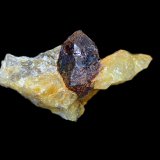 Monazita-(Ce)
Cristal de 10 mm en matriz de pegmatita de 20x12x11 mm
(Autor: Antonio Carmona)