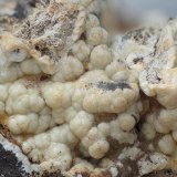 Fluorapatito
80 x 50 mm
(Autor: Antonio Carmona)