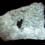 Allanita sobre Dolomita.
60x35 mm.
(Autor: Jesus Franquesa Baucells)