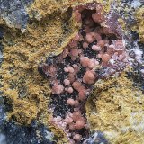 Annabergita (variedad magnésico cobaltífera)
Campo de visión de  5 mm.
(Autor: Antonio Carmona)