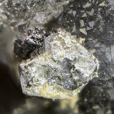Estefanita sobre Galena
Campo de visión de 4 mm
(Autor: Antonio Carmona)