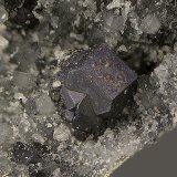 Galena
Campo de visión de 2 mm
(Autor: Antonio Carmona)