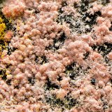 Eritrita (Eritrina)
Campo de visión de 2 mm
(Autor: Antonio Carmona)