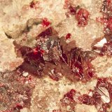 Cinabrio
cristal 1.7cm
(Autor: Raul Vancouver)