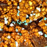 Alofana.
3´846 x 2´324 mm.
(Autor: Jesus Franquesa Baucells)