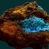 Alofana
6 x 4 cm
(Autor: Antonio Carmona)