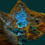 Alofana
7 x 5 cm
(Autor: Antonio Carmona)