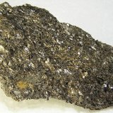 Annita
9,5 x 6,1 cm.
(Autor: Frederic Varela)