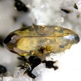 Anatasa
fov 2,1 mm
(Autor: Jordi Fabre)