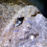 Anatasa.
1´269 x 0´745 mm.
(Autor: Jesus Franquesa Baucells)