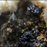 Anatasa, Moscovita, Albita y Goethita.
Campo de visión de 8 mm.
(Autor: Antonio Carmona)