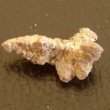 Anatasa con Rutilo
1,3 x 0,6 x 0,4 cm
(Autor: Anisio Claudio)