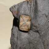 Andalucita (variedad quiastolita)
7,5x5,5 cm
(Autor: Ander Ispizua Juan)