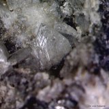 Anglesita.
1´764 x 1´657 mm.
(Autor: Jesus Franquesa Baucells)