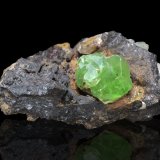 Anglesita en Galena
6.5 x 5 x 3 cm / Cristal principal: 1.6 cm.
(Autor: Museo MIM)