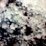 Annabergita
< 1 mm
(Autor: José Luis Zamora)