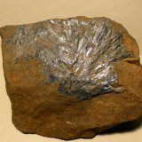 Antimonita
11,5x9 cm
(Autor: Ander Ispizua Juan)