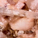 Apatito y oligoclasa
4 x 0,5 x 0,6 mm
(Autor: Anisio Claudio)