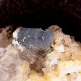 Apatito
4,5 X 1,1 X 1 mm
(Autor: Anisio Claudio)