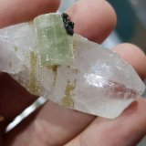 Fluorapatito (Grupo Apatito) con Casiterita
(Autor: Ignacio)