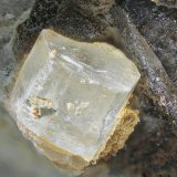 Apatito
Cristal de 4 mm
(Autor: Antonio Carmona)