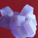 Apatito
23x25mm
(Autor: Ramon A  Lopez Garcia)
