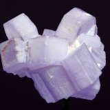 Fluorapatito
25x23mm
(Autor: Ramon A  Lopez Garcia)
