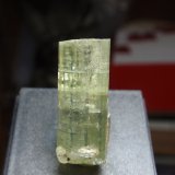 Fluorapatito (Grupo Apatito)
10x30 mm
(Autor: Ignacio)