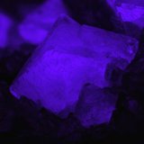 Fluorita
Encuadre de 10,8mm. Cristal de 2,55mm
(Autor: Oscar Fernandez)