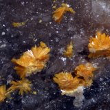 Kasolita
Encuadre de 2,91mm
(Autor: Oscar Fernandez)