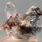 Fluorapofilita-(K)
35x35 mm
(Autor: Juan Espino)